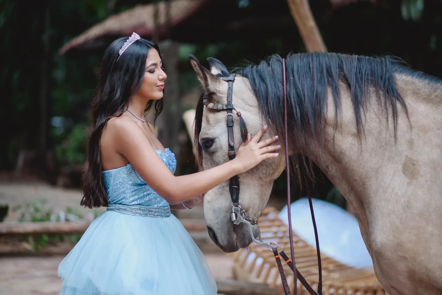 Jovem de vestido azul tocando o rosto de um cavalo.